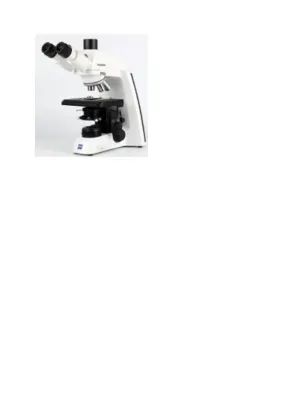 Trinocular Microscope