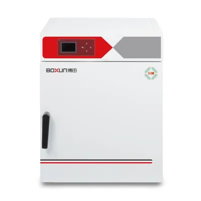 BOXUN BXP-65 Electric Heating Incubator