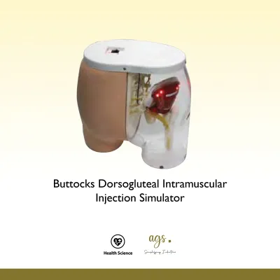 Buttocks Dorsogluteal Intramuscular Injection Simulator