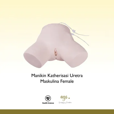 Manikin Katherisasi Uretra Maskulina Female