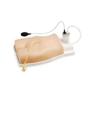 Suprapubic Training Model - Light
