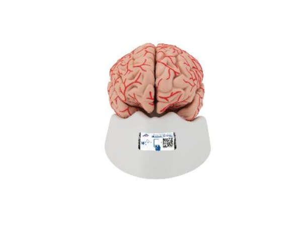 Alarm Clock With Lamp